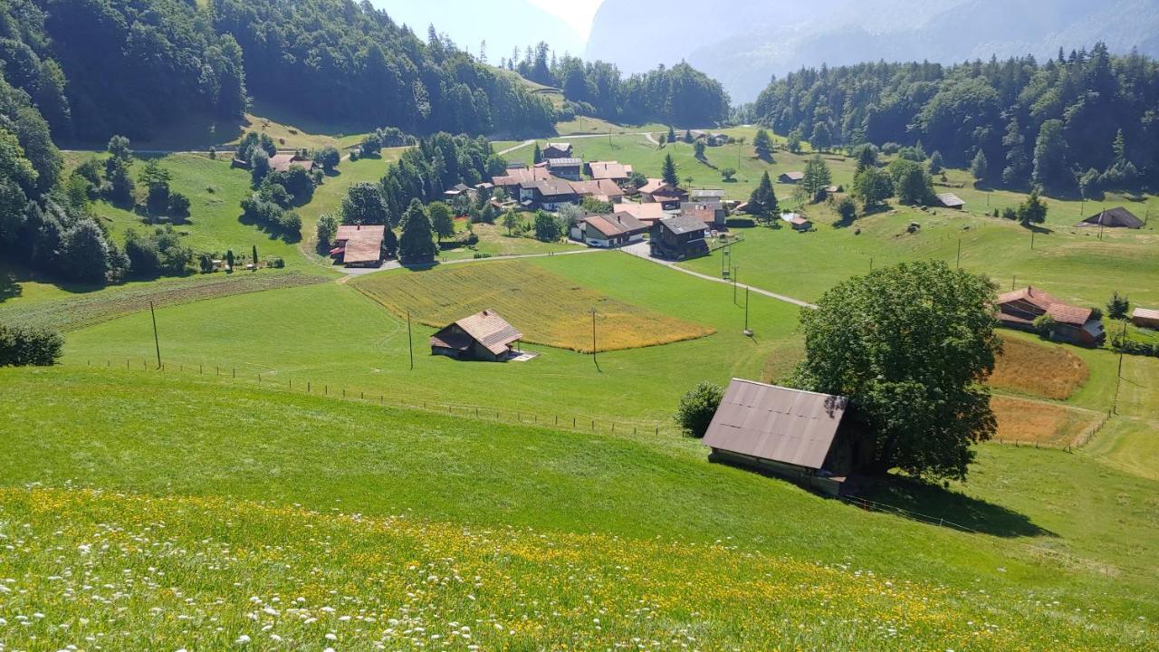 Chalet Bruenig Meiringen Esterno foto