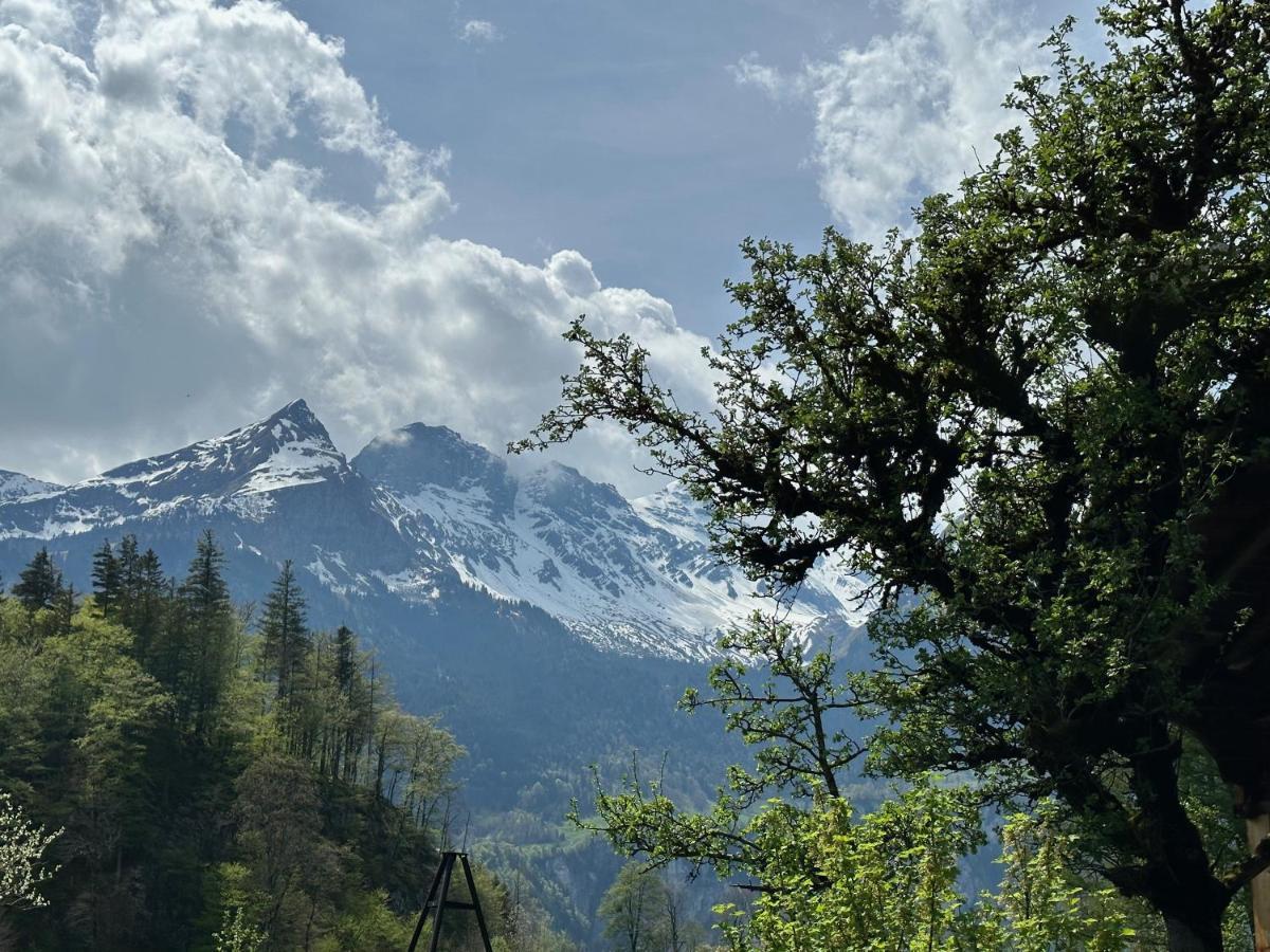 Chalet Bruenig Meiringen Esterno foto