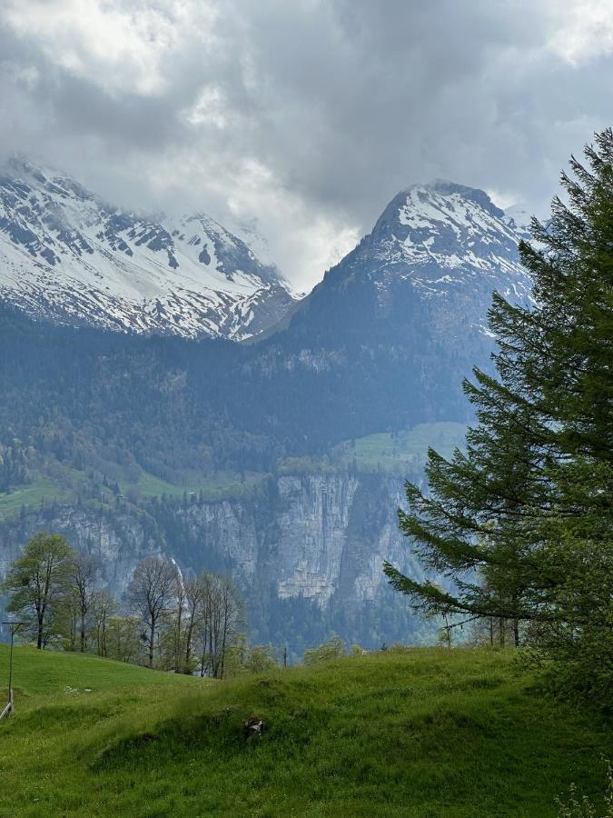 Chalet Bruenig Meiringen Esterno foto