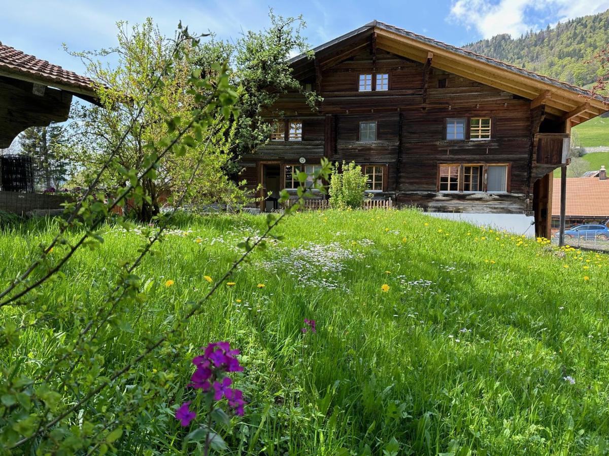 Chalet Bruenig Meiringen Esterno foto