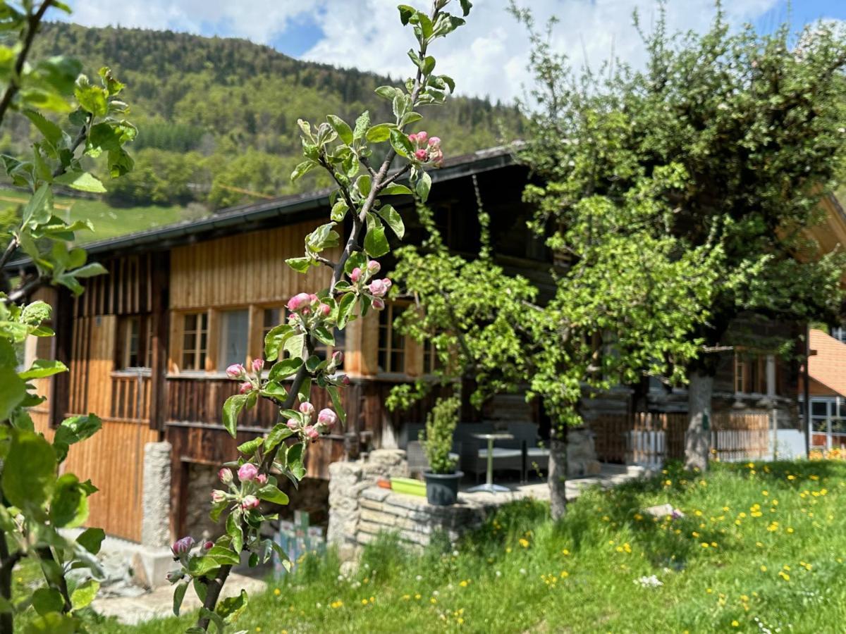 Chalet Bruenig Meiringen Esterno foto