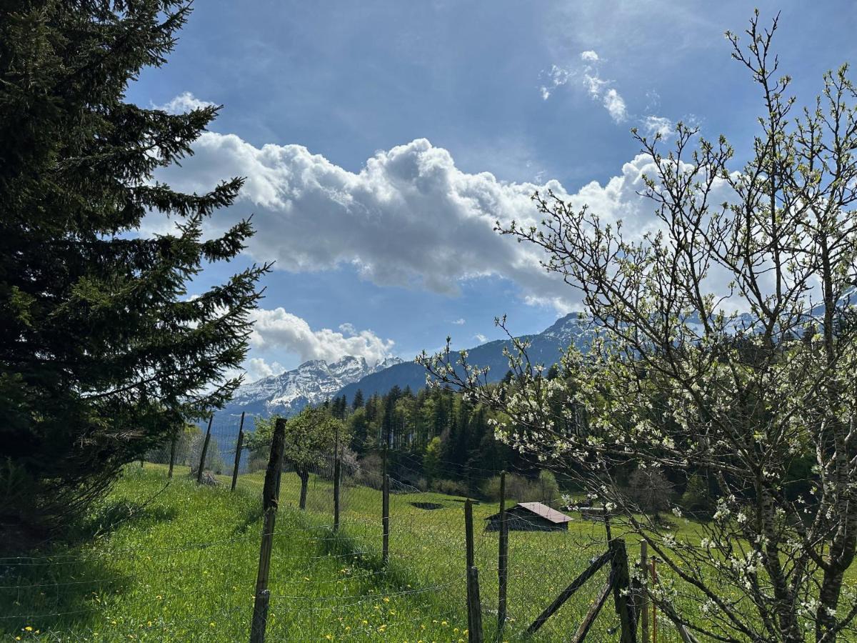 Chalet Bruenig Meiringen Esterno foto