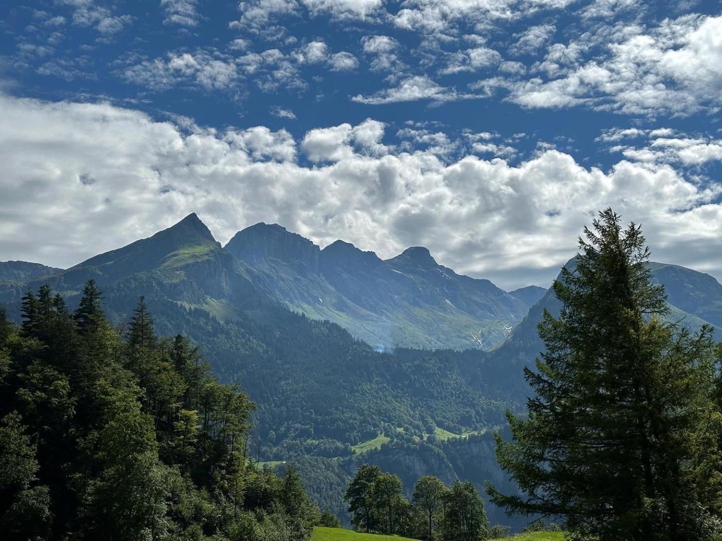 Chalet Bruenig Meiringen Esterno foto