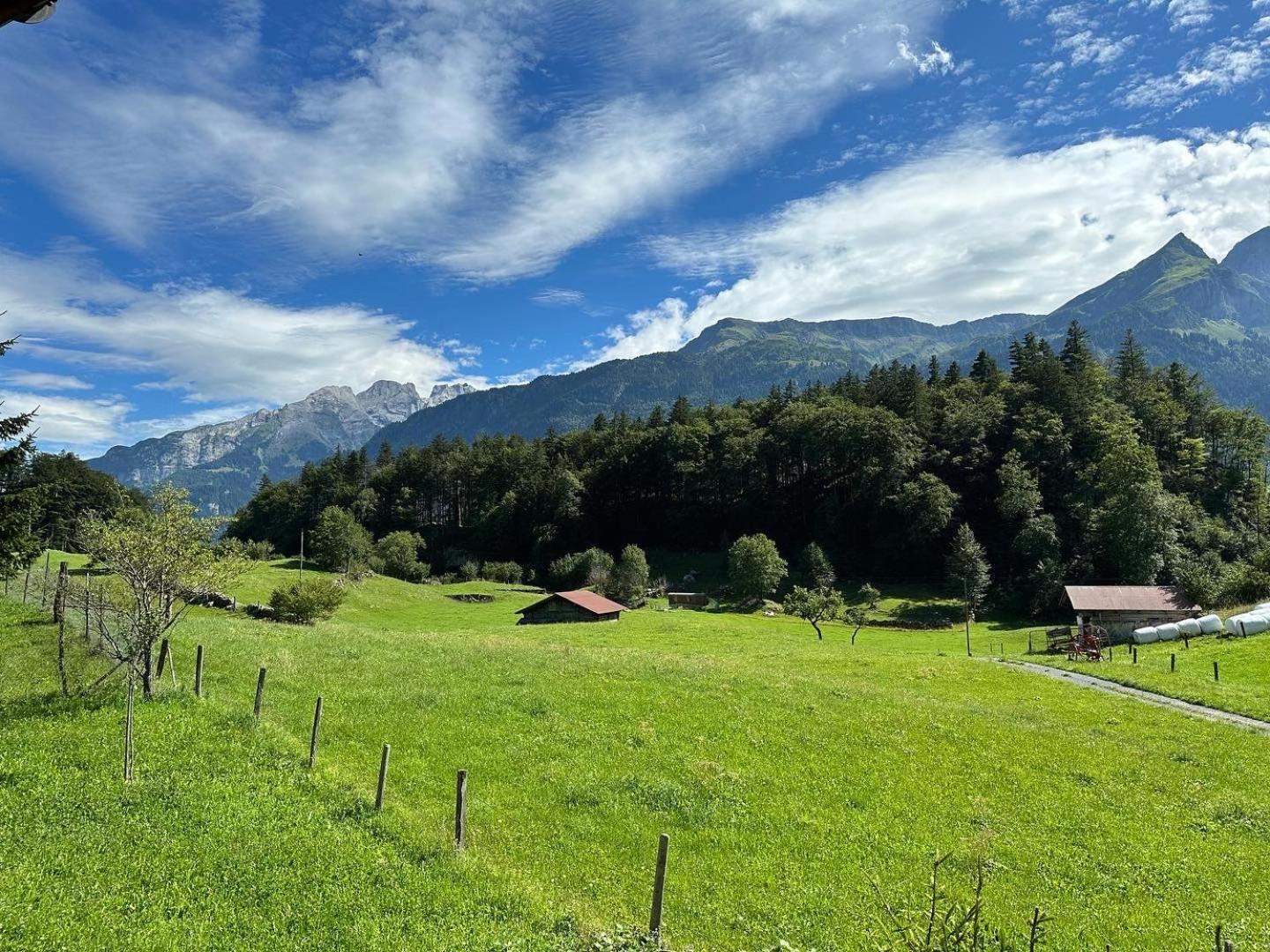 Chalet Bruenig Meiringen Esterno foto