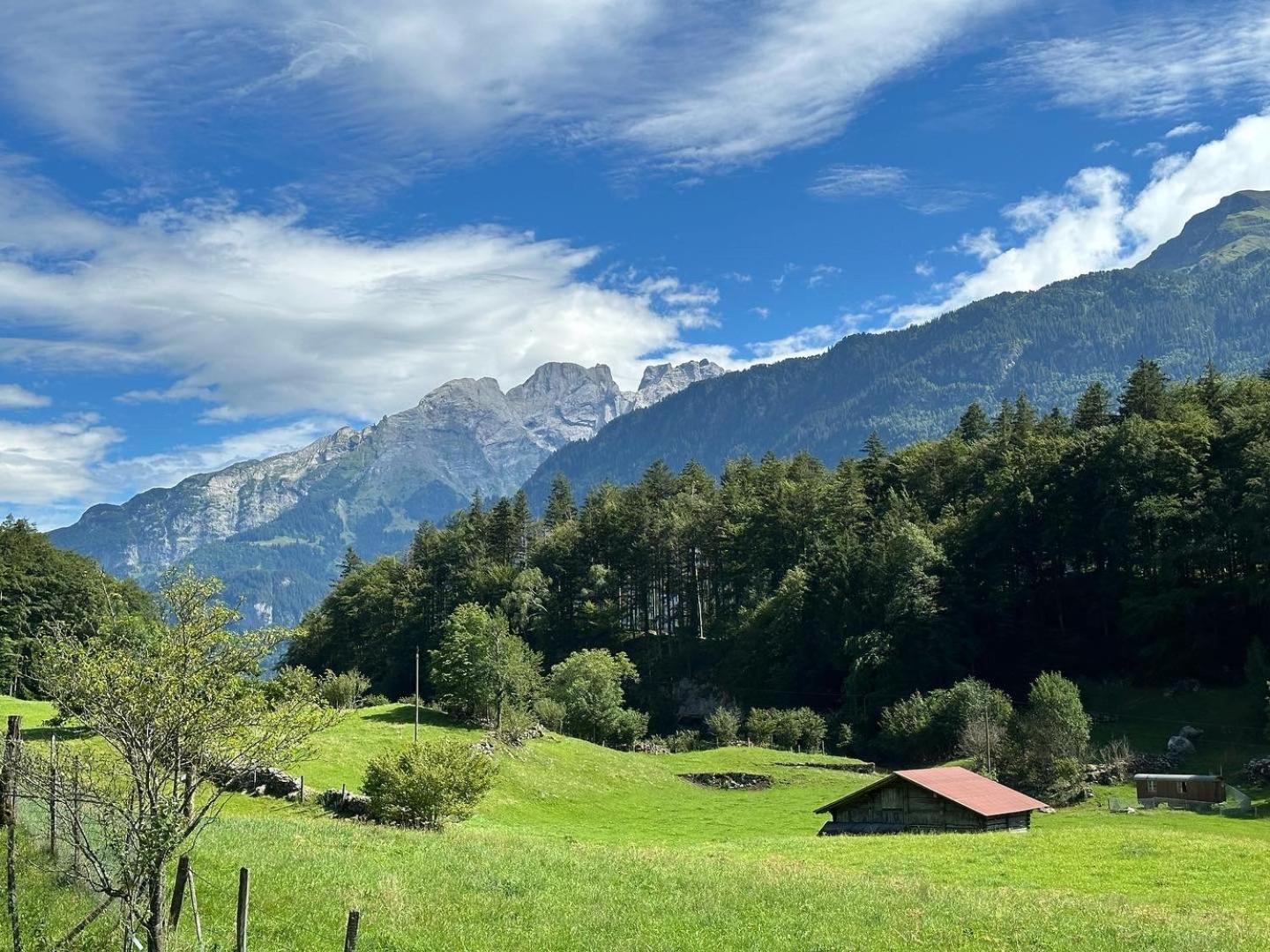 Chalet Bruenig Meiringen Esterno foto